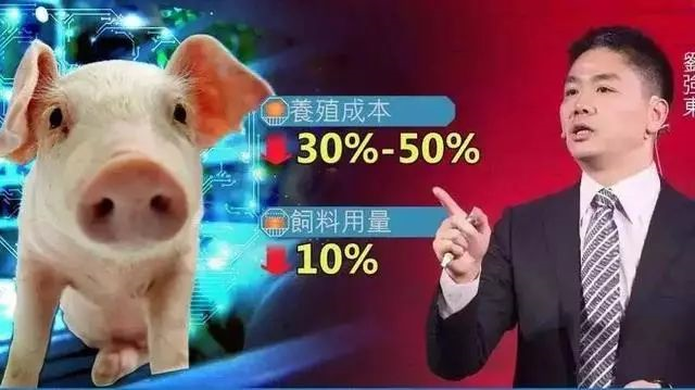 劉強東成立京東農牧，進軍養豬業！