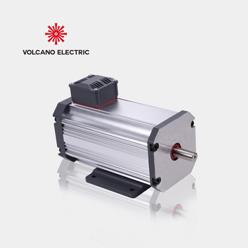 低壓永磁同步電機（24V-48V-110V）
