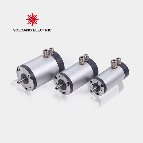 低壓無刷電機（24V-48V-110V)